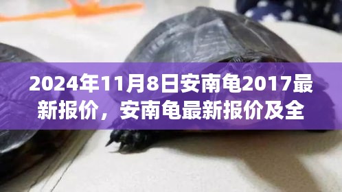 2024年視角，安南龜最新報(bào)價(jià)及全面評(píng)測(cè)