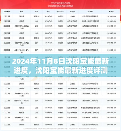 沈陽寶能最新進度深度解析，產(chǎn)品特性與用戶體驗評測報告