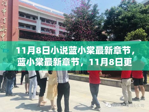 藍(lán)小棠最新章節(jié)更新概覽，11月8日之我見
