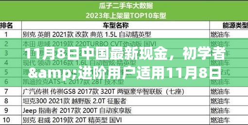 初學者與進階用戶指南，11月8日中國最新現(xiàn)金操作指南及任務完成步驟詳解