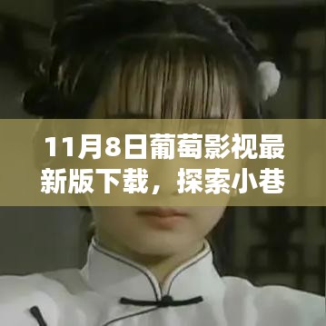 探索影視樂(lè)園，葡萄影視最新版下載，小巷深處的影視盛宴