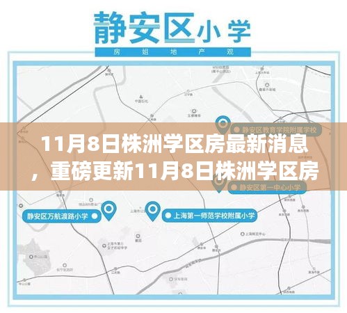 揭秘最新動態(tài)，株洲學(xué)區(qū)房最新消息與教育地產(chǎn)趨勢展望