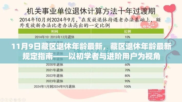 藏區(qū)退休年齡最新規(guī)定指南，從初學者到進階用戶的視角解析（11月9日更新）