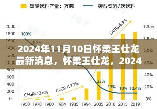 懷柔王仕龍最新動態(tài)與深遠影響力揭曉，2024年11月10日更新