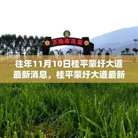 桂平蒙圩大道最新動(dòng)態(tài)獲取全攻略，輕松掌握最新消息動(dòng)態(tài)