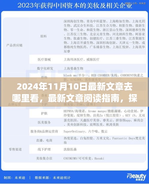 探尋最新文章閱讀指南，揭秘2024年11月10日的精彩內(nèi)容