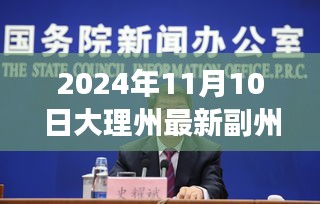 大理州副州長名單背后的勵志故事與變化力量，新篇章揭曉，勵志故事與變化力量在副州長名單中展現的2024年大理州新篇章