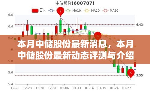 本月中儲股份最新動態(tài)，評測與詳細介紹