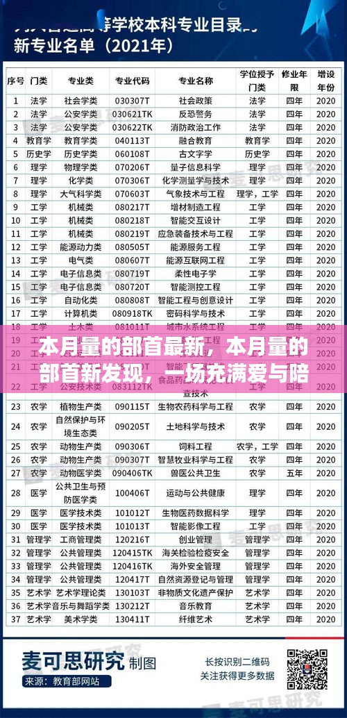 愛(ài)與陪伴的奇妙冒險(xiǎn)之旅，最新部首發(fā)現(xiàn)揭秘本月量的奧秘