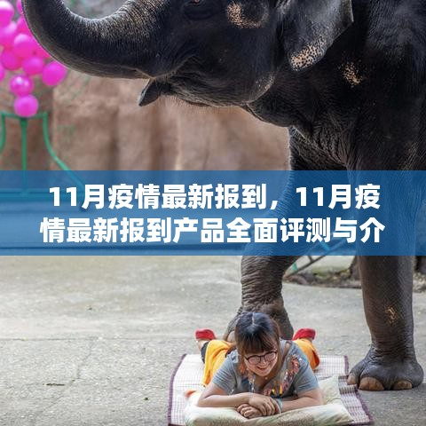 公司概況 第206頁