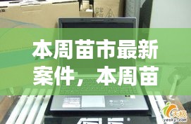 本周苗市熱點(diǎn)揭秘，最新案件動(dòng)態(tài)全掌握
