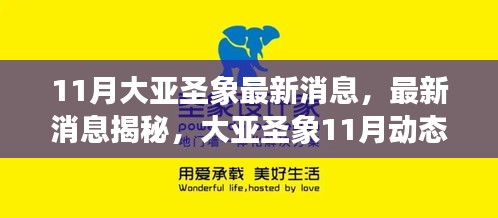大亞圣象11月最新動態(tài)揭秘，任務指南與技能學習全攻略發(fā)布