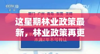 林業(yè)政策最新動(dòng)向，本周更新及其時(shí)代影響力分析