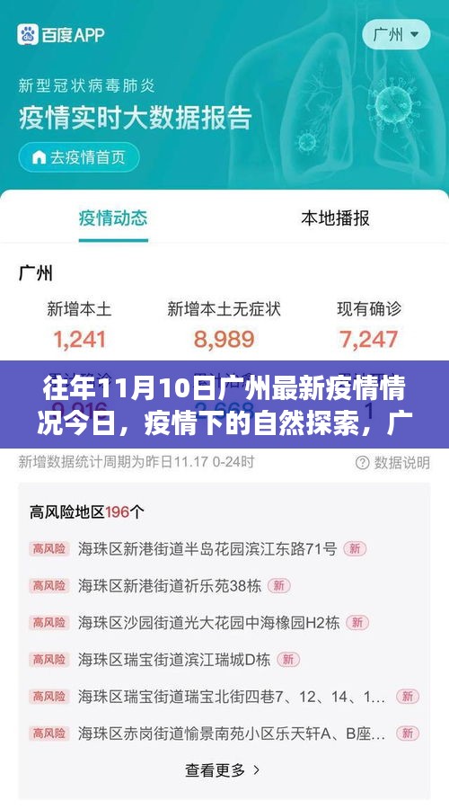 往年11月10日廣州疫情更新，疫情下的自然探索與寧靜美景之旅