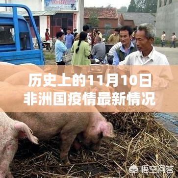 歷史上的11月10日非洲疫情最新進(jìn)展與動(dòng)態(tài)
