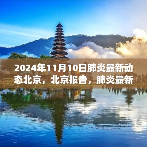 北京肺炎最新動(dòng)態(tài)深度觀察，報(bào)告與影響，2024年11月10日最新進(jìn)展