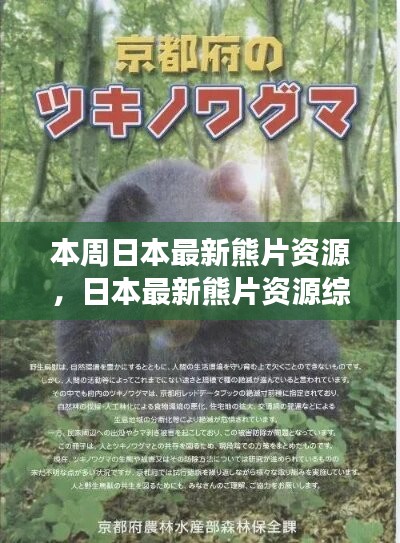 日本最新熊片資源綜述，背景、進展與特定領(lǐng)域地位探討