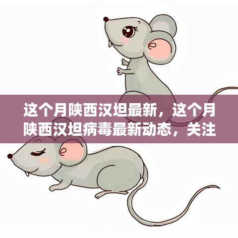 陜西漢坦病毒最新動態(tài)，關注疫情進展，共筑健康防線