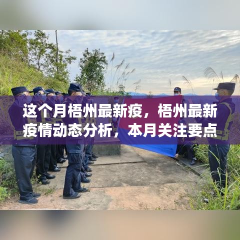 梧州最新疫情動態(tài)解析，本月關(guān)注要點及最新動態(tài)解讀