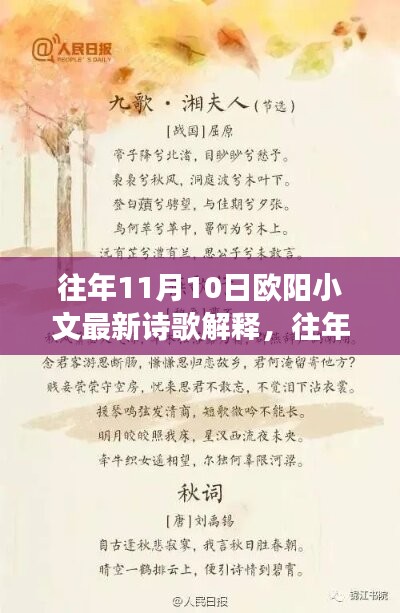 歐陽小文詩歌解析，詩意深度解讀與情感探索——往年11月10日詩歌解讀分享
