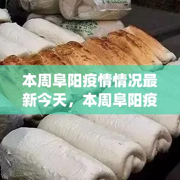 公司概況 第199頁