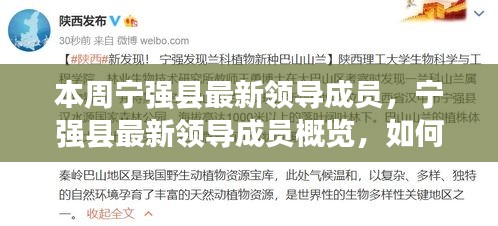 寧強縣最新領導成員概覽，本周新任領導信息指南