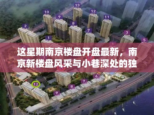 南京新樓盤風采與小巷獨特小店探索，本周樓盤開盤最新資訊