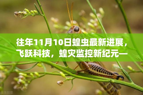 揭秘智能蝗蟲監(jiān)測系統(tǒng)，最新進展與體驗之旅