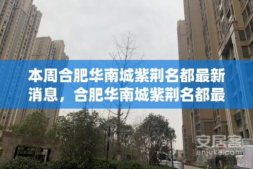 合肥華南城紫荊名都最新動態(tài)速遞，掌握最新消息的步驟指南