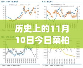 歷史上的11月10日，菜柏價格背后的勵志故事與最新行情，自信成就感的源泉
