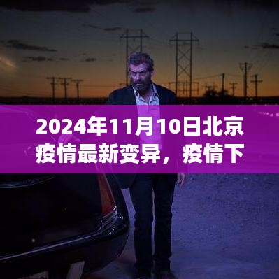 北京疫情最新變異下的溫情與友情日常，2024年11月10日最新觀察