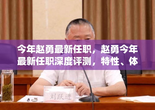 趙勇最新任職深度解析，特性、體驗(yàn)、競(jìng)品對(duì)比及用戶群體全面剖析