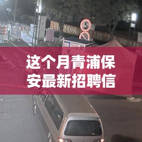 青浦保安最新招聘信息本月概覽，全面解析招聘動(dòng)態(tài)與要求