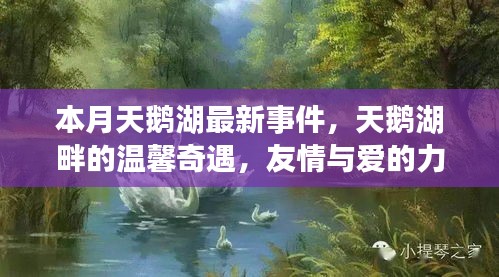 本月天鵝湖畔的溫馨奇遇，友情與愛的力量的展現(xiàn)