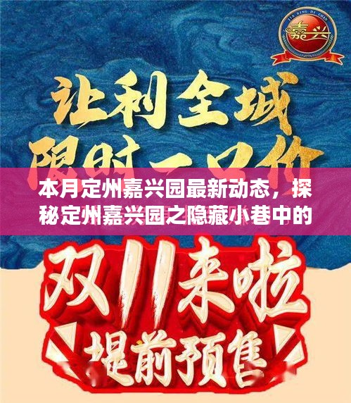 本月定州嘉興園最新動態(tài)，探秘隱藏小巷的獨(dú)特風(fēng)味——新鮮打卡指南