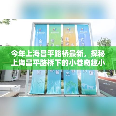 探秘上海昌平路橋下的小巷奇趣小店，最新隱藏版美味與獨(dú)特風(fēng)情揭秘