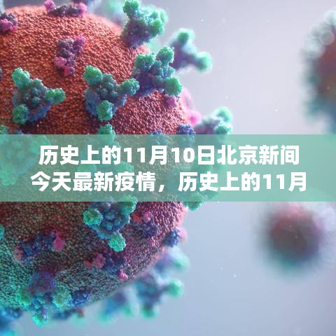張牙舞爪 第31頁(yè)