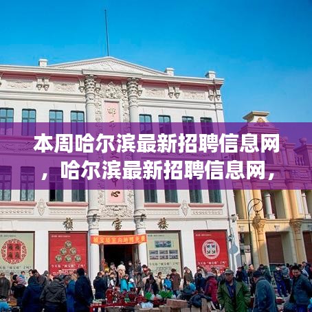 時代脈搏下的招聘風向標，本周哈爾濱最新招聘信息網匯總