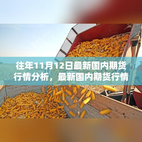 最新國(guó)內(nèi)期貨行情分析指南，針對(duì)初學(xué)者與進(jìn)階用戶的期貨行情步驟解析（往年11月12日版）
