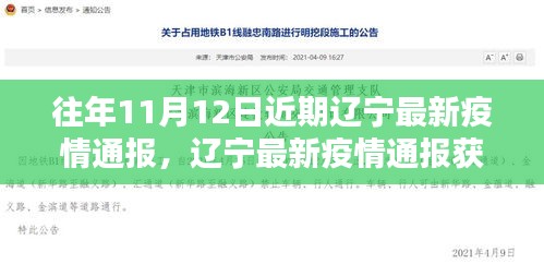 遼寧最新疫情通報獲取指南，輕松掌握每日疫情動態(tài)動態(tài)更新