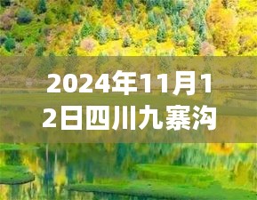 2024年11月12日四川九寨溝最新情況，自然恢復(fù)與旅游新篇章開啟