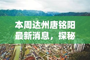 達(dá)州唐銘陽最新獨家揭秘，巷弄深處的特色小店本周更新消息