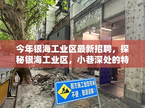 銀海工業(yè)區(qū)最新招聘揭秘，探秘小巷特色小店等你來發(fā)掘！