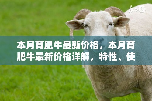 本月育肥牛價格詳解，特性、體驗、競品對比及用戶群體分析