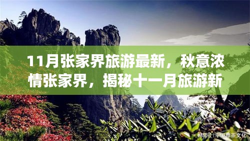 揭秘十一月張家界秋意濃情，最新旅游指南開啟新篇章