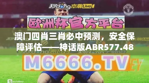 澳門四肖三肖必中預(yù)測，安全保障評估——神話版ABR577.48