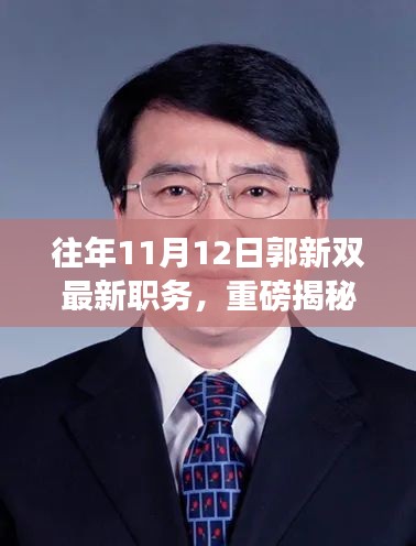 揭秘郭新雙新職務(wù)，職場之路再創(chuàng)高峰歷程揭秘！