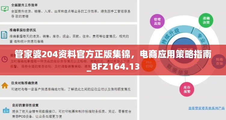 管家婆204資料官方正版集錦，電商應(yīng)用策略指南_BFZ164.13