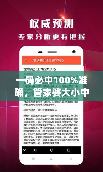 一碼必中100%準(zhǔn)確，管家婆大小中特解析，戶外版ZNA113.77深度剖析