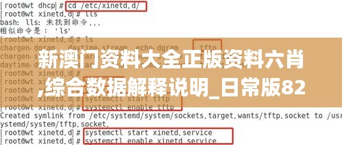 新澳門資料大全正版資料六肖,綜合數(shù)據(jù)解釋說(shuō)明_日常版822.09